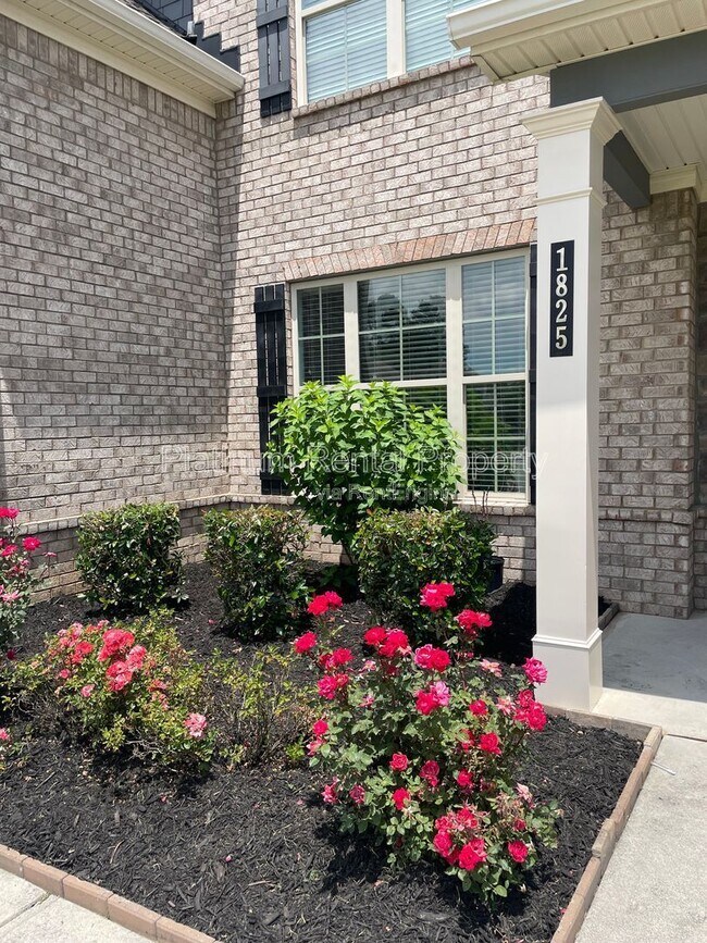 Building Photo - 1825 Dahlia Dr