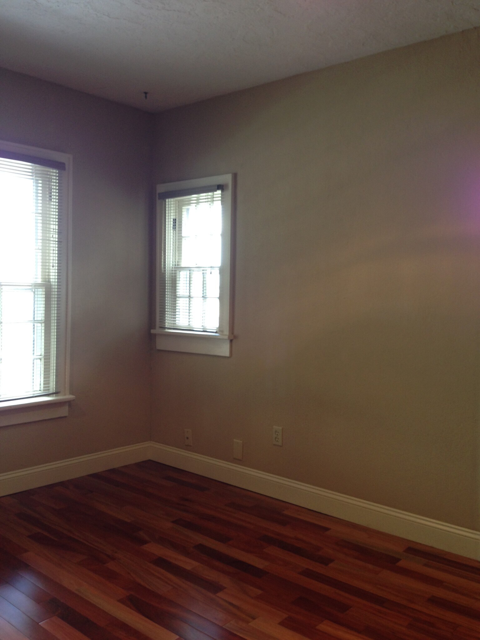 Living room - 731 Jenkins Ave