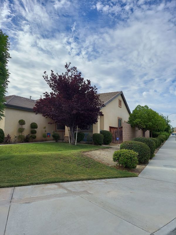 Building Photo - 2274 Purple Finch Ct