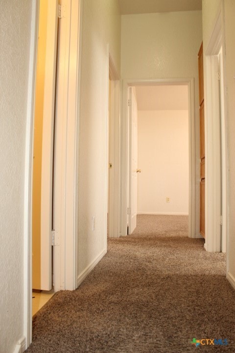 Building Photo - 3819 Oak Valley Dr