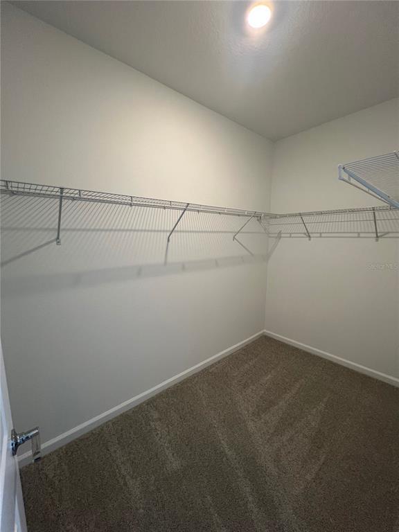 Building Photo - 2477 Spring Tune Aly