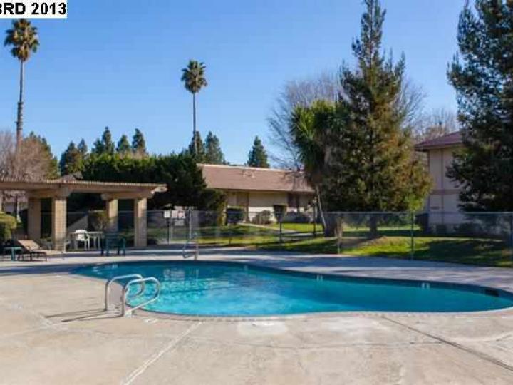 Pool area - 4260 Clayton Rd