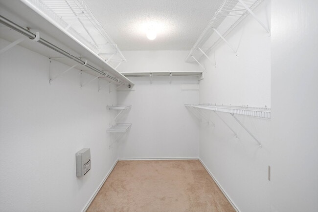 Building Photo - 8090 Chestnut Ash Dr