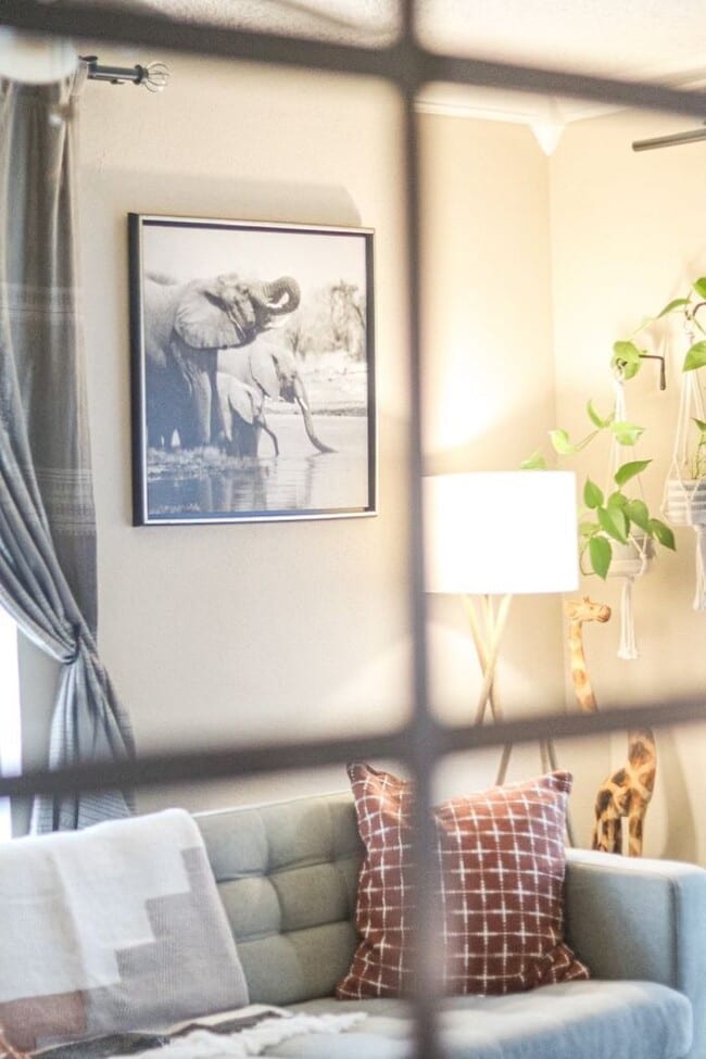 Building Photo - Coming soon....Super Cute Stylish Home w/ Modern Upgrades