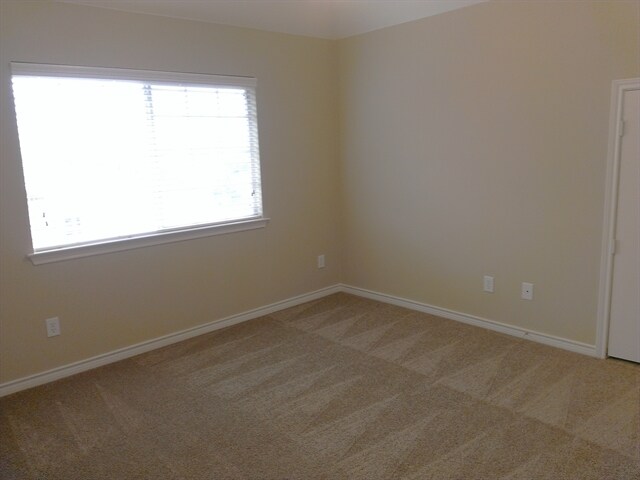 Building Photo - 4904 Virginia Woods Dr