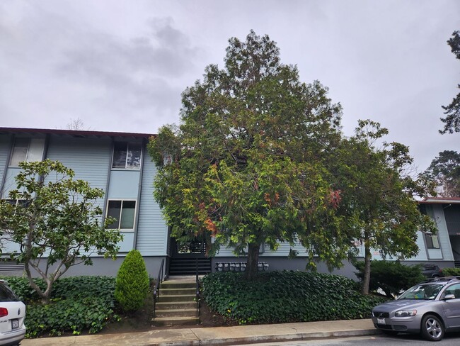 Building Photo - top floor, one bedroom with large balcony