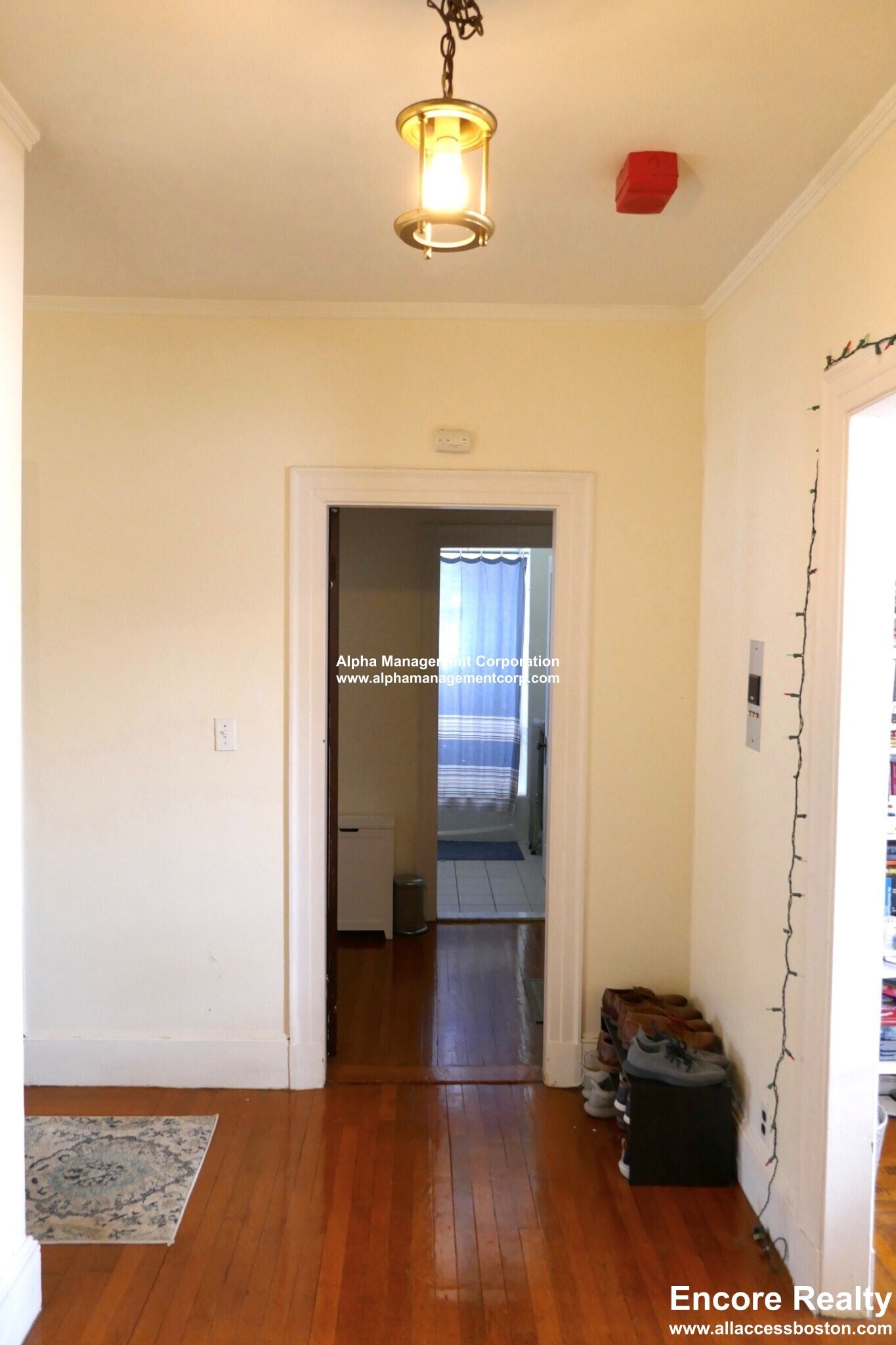 Building Photo - 163 Summer St