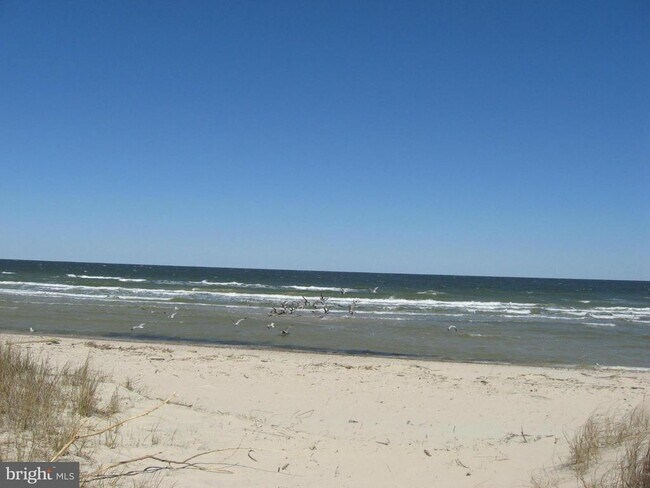 Building Photo - 1594 N Harbor Dr