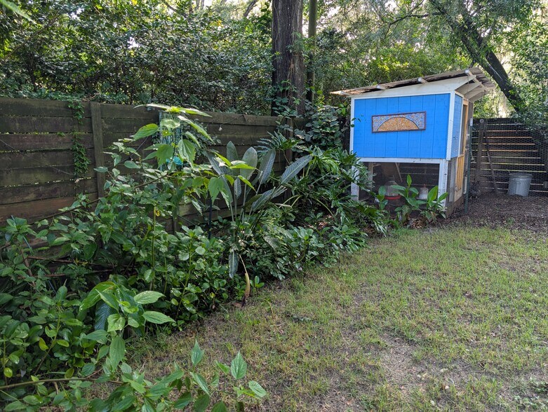 Backyard plants - 910 NW 29th Pl