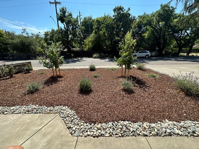 Building Photo - 1402 Clara Ln