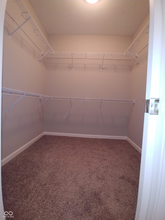 Building Photo - 818 Bluegrass Trail