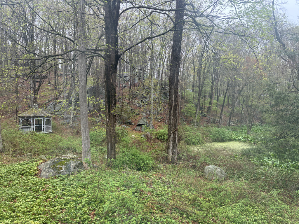 View from Kitchen - 89 Florida Hill Rd