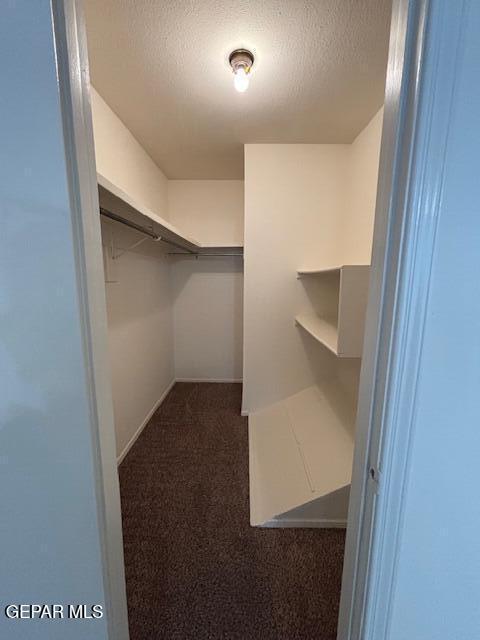 Building Photo - 1769 Pico Alto Dr
