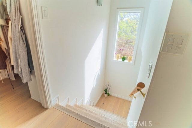 Building Photo - 5179 Canoga Ave