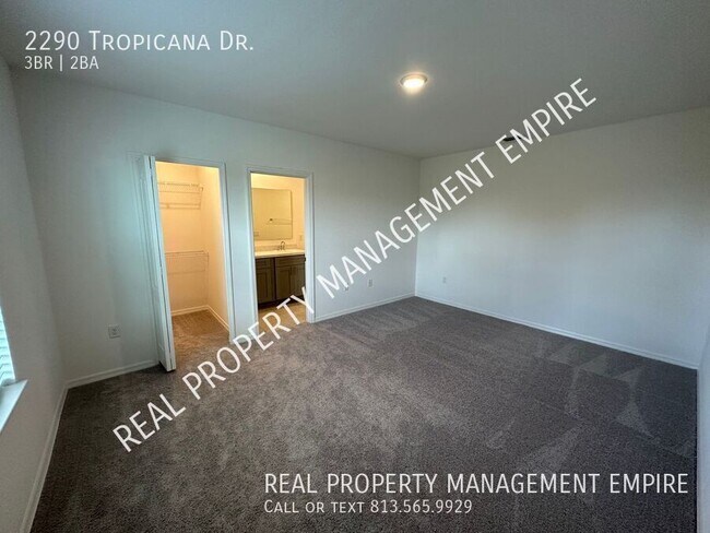 Building Photo - 2290 Tropicana Dr