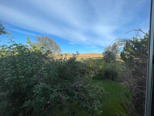 Building Photo - Beautiful 3-Bedroom Home in Rock Creek