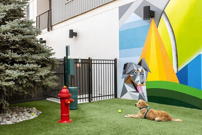 Building Photo - 350 S Jackson St