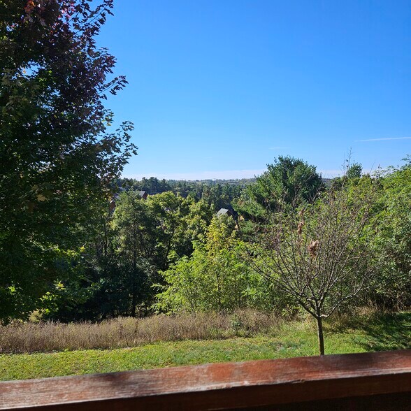 Veiw from Deck - 459 Overlook Ct