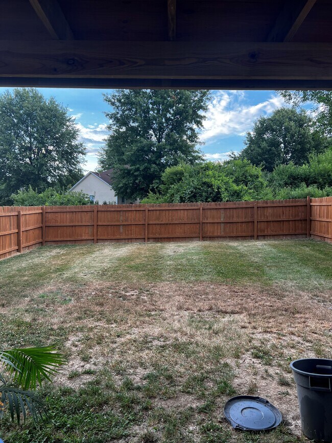 Back yard - 5015 W Georgetown Dr
