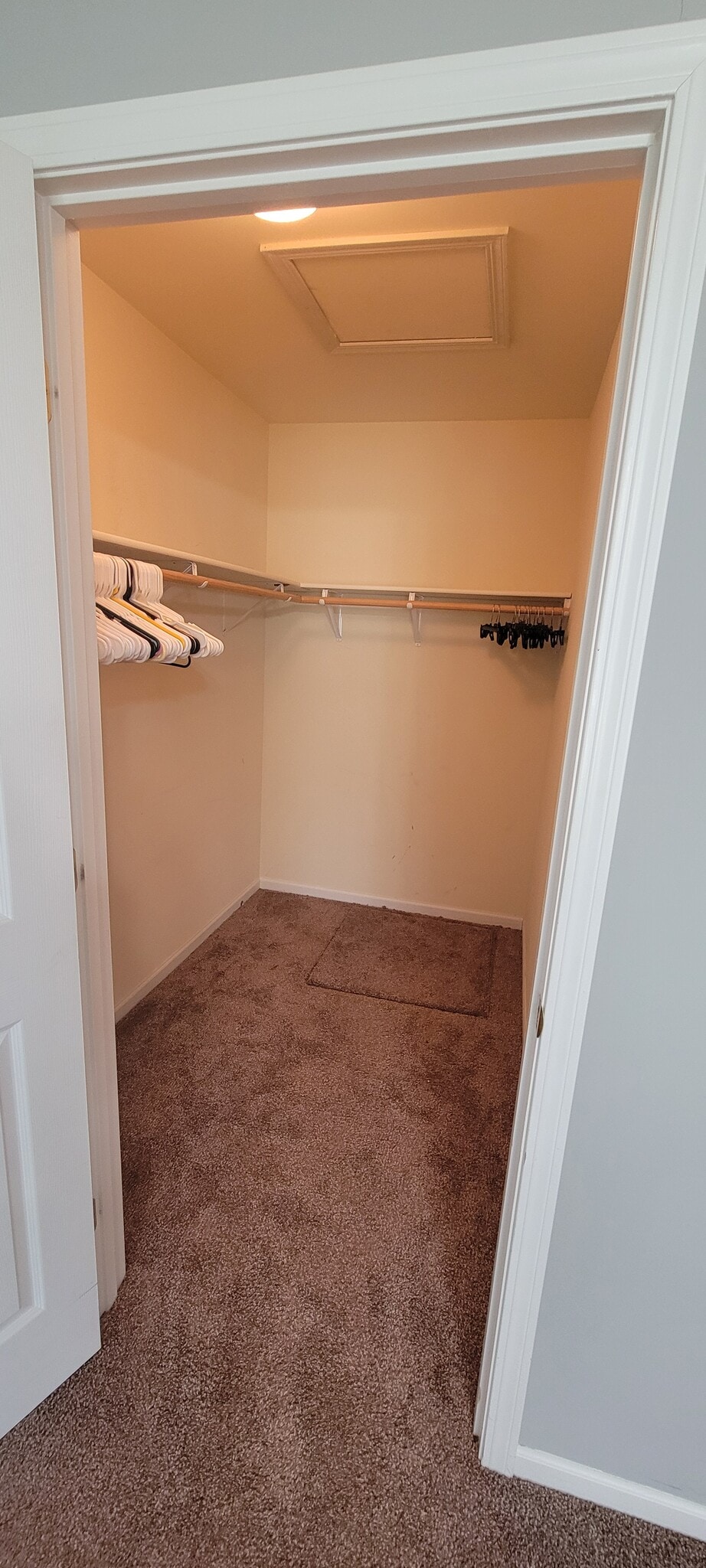 Primary walk in closet - 10371 Player St