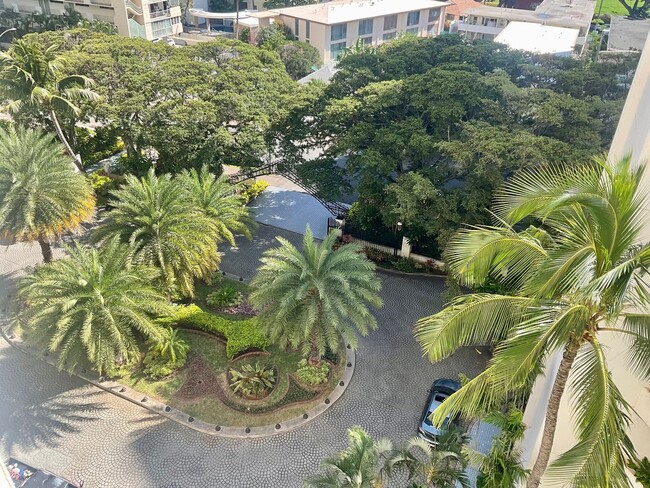 Building Photo - Charming & Convenient Studio, Great Building