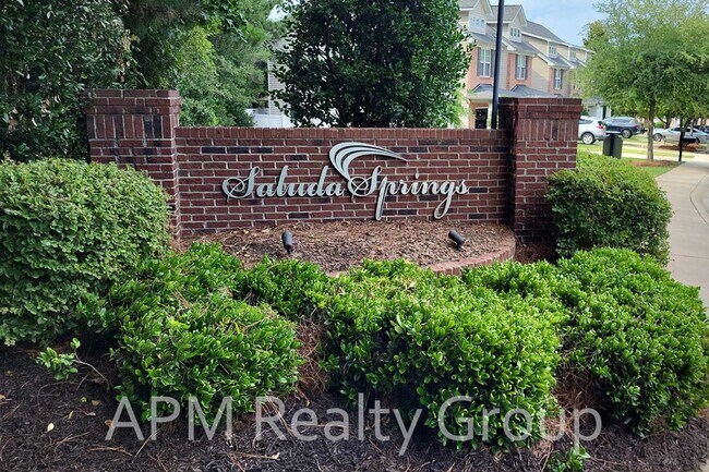 Building Photo - Saluda Springs Townhome