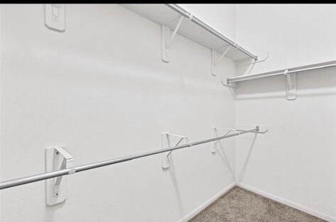 Building Photo - 14610 Southern Magnolia Cir