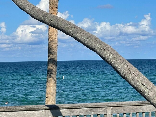 Building Photo - 1237 Hillsboro Mile