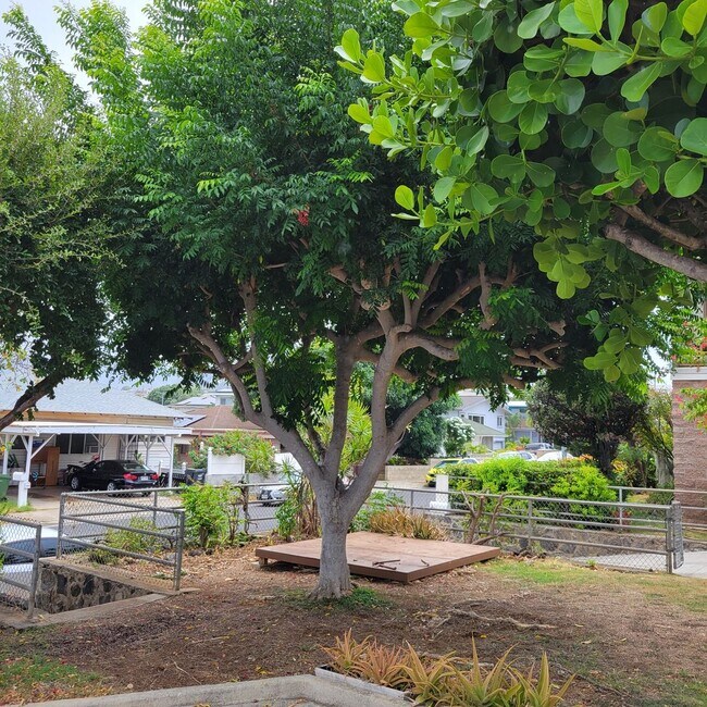 Building Photo - Kapahulu 3 bed, 2 bath single family home