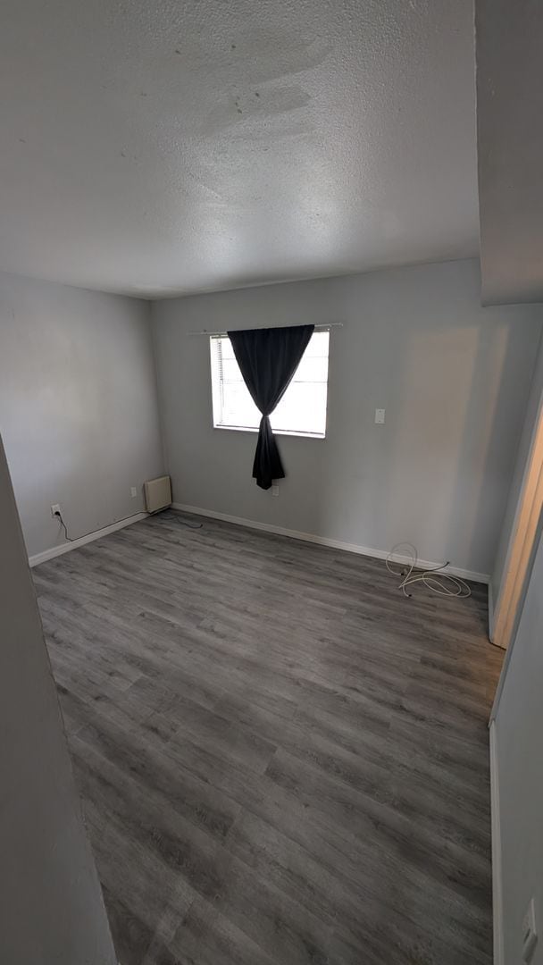 Building Photo - Warm and Cozy one bedroom,dog park, heart of Tampa