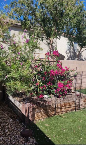 Building Photo - 7244 Nova Ridge Ct