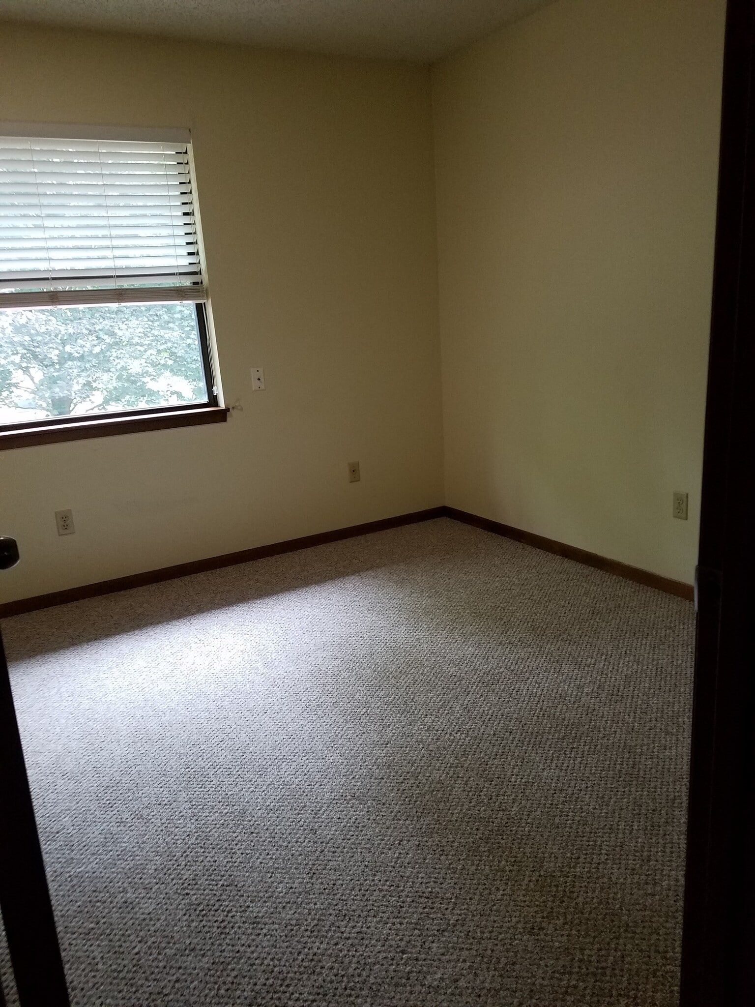 Middle bedroom - 1248 Dolen Pl