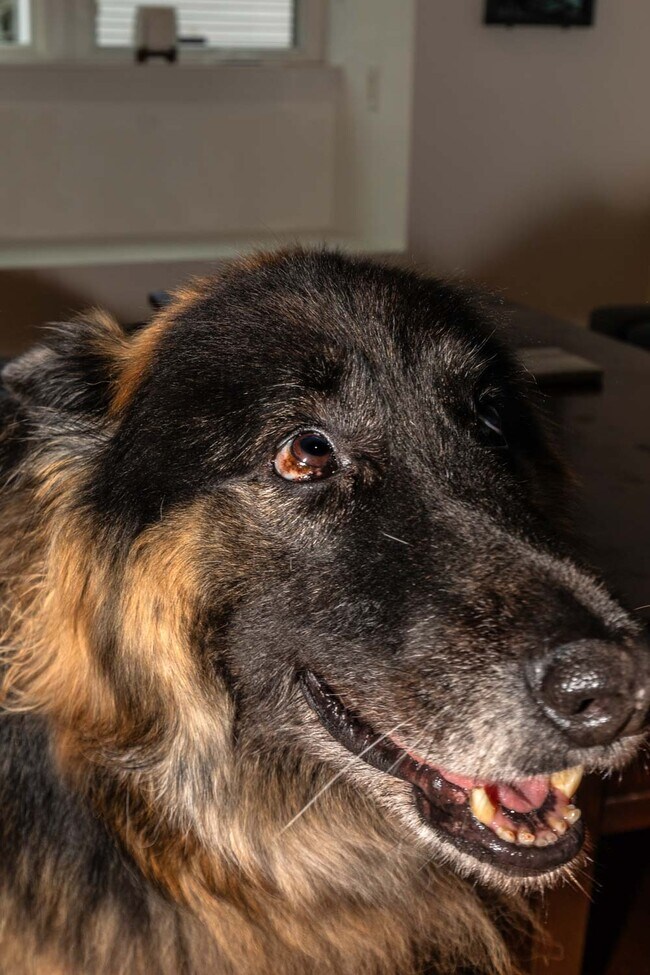 Building Photo - 1202 Jackson St NE