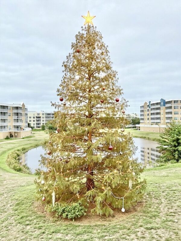 Building Photo - 960 Starkey Rd