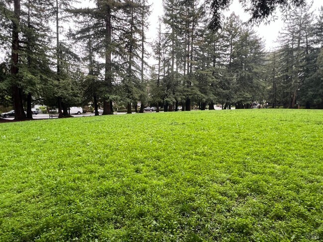 Building Photo - 127 Bolinas Ave