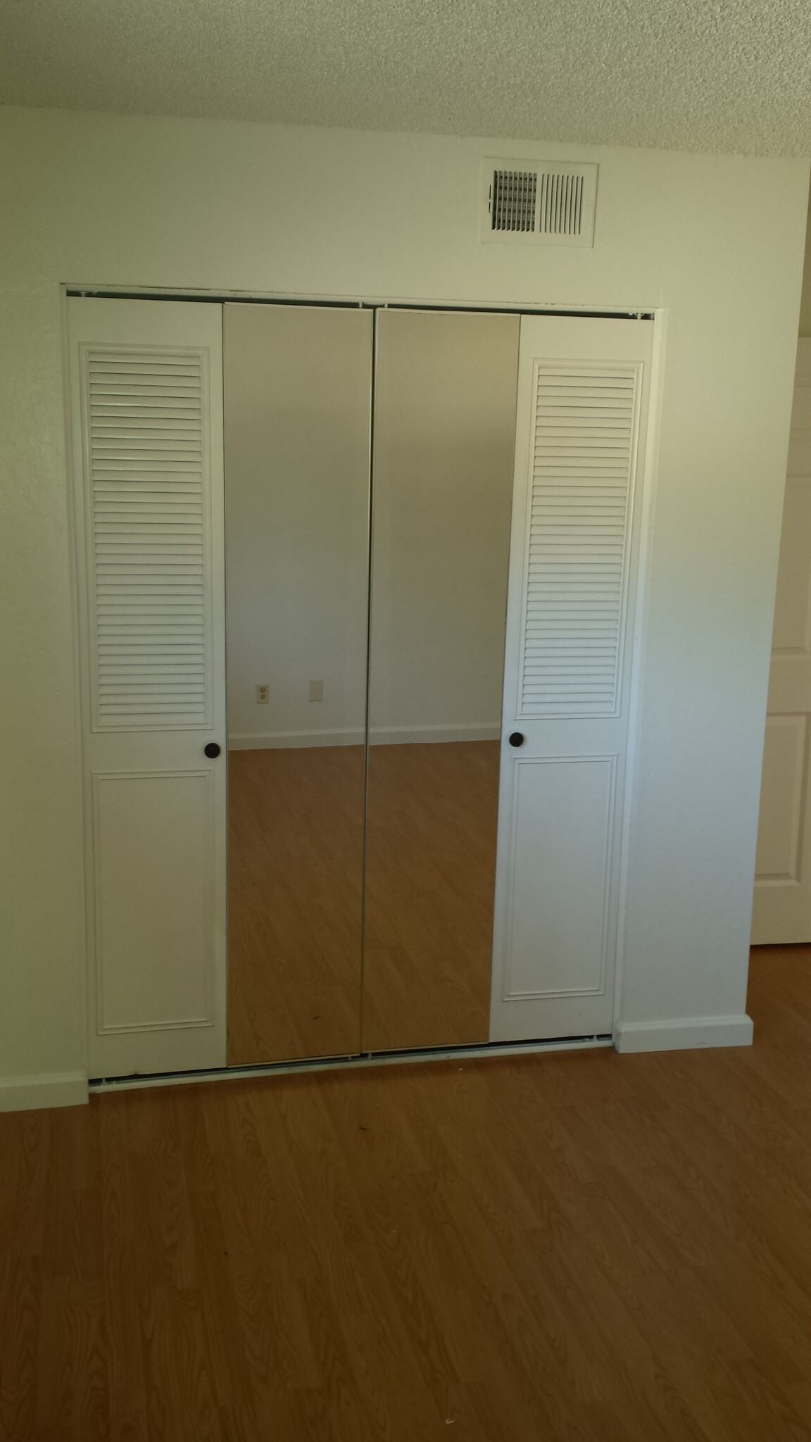 closet with mirrors - 6264 Longford Dr