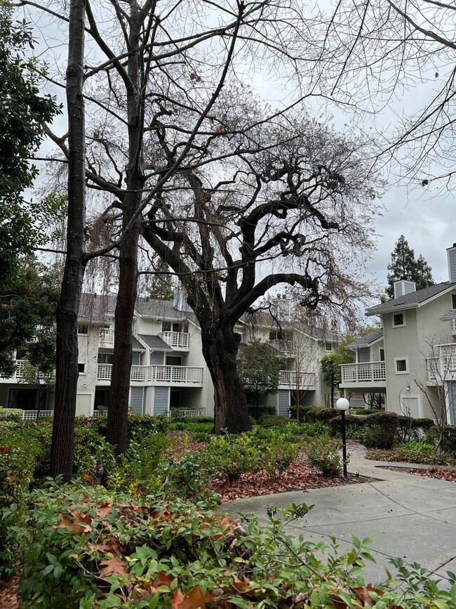 Building Photo - 2598 Oak Rd