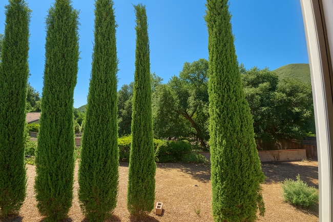 Building Photo - 39216 San Francisquito Canyon Rd