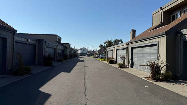 Building Photo - 1063 Mangrove Ln