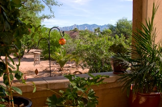 Building Photo - 901 N 3rd Ave