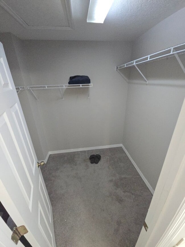 Building Photo - Modern 3 Bedroom 2.5 Bath in Gibsonton