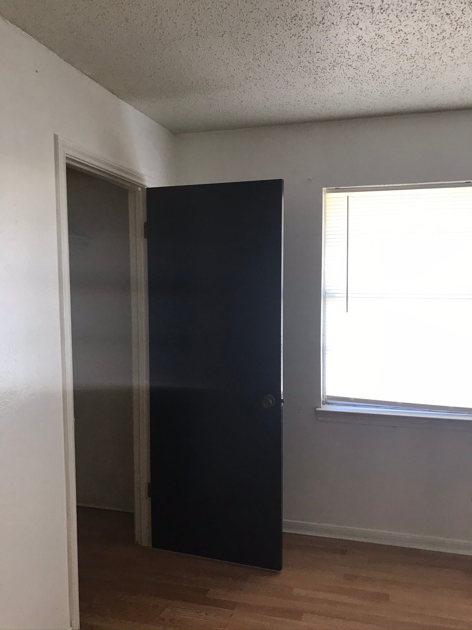 Master Bedroom - 101 W Lonita Ave