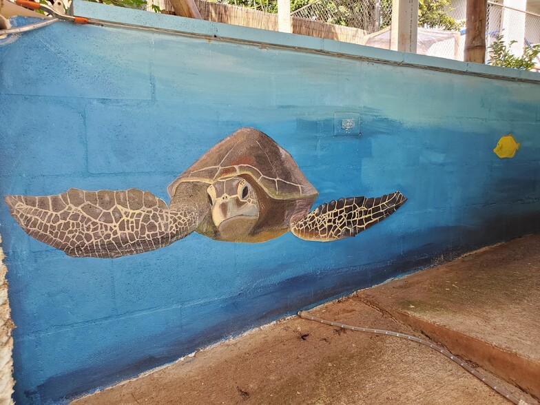 Numerous murals of nature and the ocean life from a local artist who was inspired by Kaneohe life. - 45-217 Lilipuna Rd