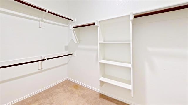 Building Photo - 1119 Sassafras Dr