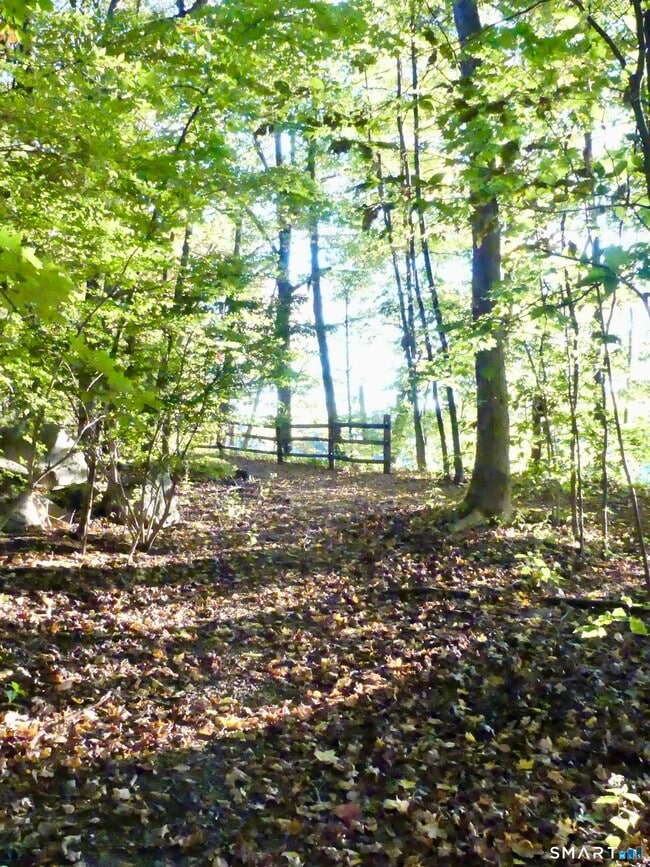 Building Photo - 50 Aiken St