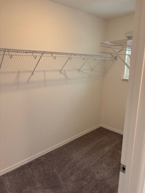 Building Photo - 3503 Eagles Xing Wy