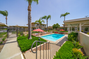 Elizabethan Townhouse Pool - Elizabethan Townhouse