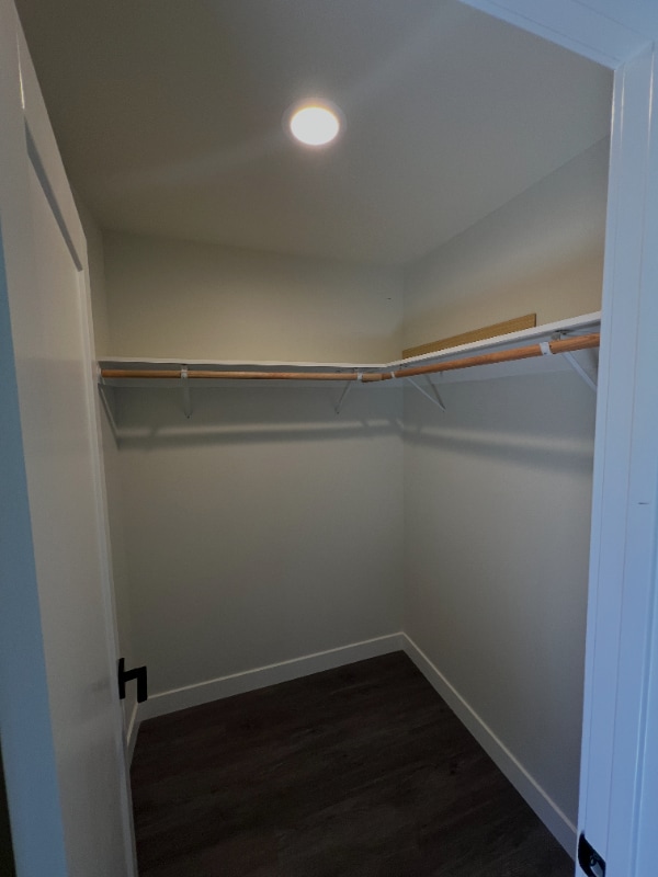 Building Photo - 1572 Rhinestone Ct