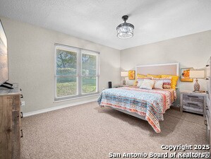 Building Photo - 3620 Chestnut Ct