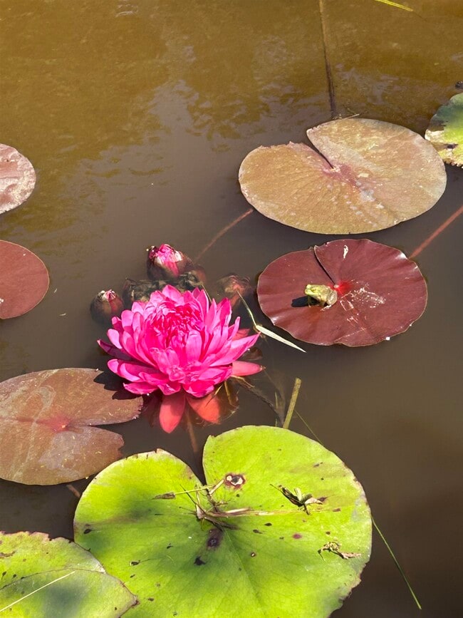 Building Photo - 293 Bear Hill Rd